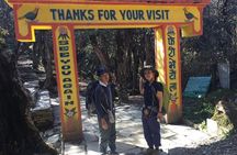 Pokhara: 4 Days Poon Hill - Ghandruk Village Trek