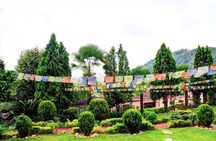 Yoga Experience Day Trip with Private Transfer From Kathmandu