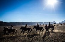 Private Bromo Sunrise Tour (All included)