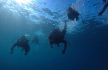 Scuba Diving For Beginners