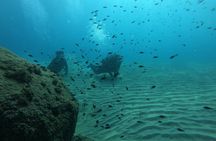 Scuba Diving For Beginners