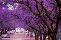 Pretoria City Guided Day Tour