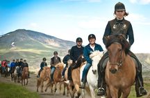Icelandic Horseback Riding Tour Including Pick Up from Reykjavik