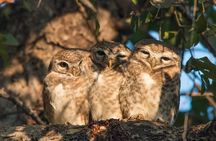 Sultanpur The wonder of Birding from Delhi