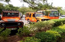 6 Days Climb Kilimanjaro Through Marangu Route