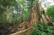 Nam Cat Tien National Park 2-Day Tour with Lodging, Meals..