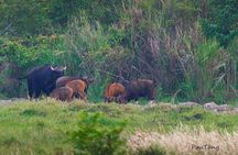 Nam Cat Tien National Park 2-Day Tour with Lodging, Meals..