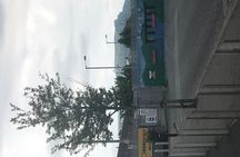 Belfast Political & Murals Tour