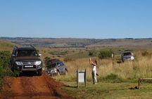 Rhino and Lion Park to see lots more animals nearest Johannesburg