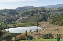 Chianti Wineries Tour with Tuscan Lunch and San Gimignano
