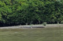Private Bandar Highlight, Water Village & Proboscis Monkey Tour