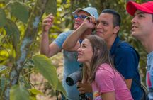 Sloth Watching Tour Experience Costa Rica