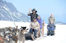 Helicopter Glacier Dogsled Tour