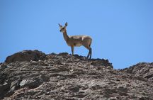 NAMIB DESERT TOURS, Full-Day and Half-Day Tours from Swakopmund, Namibia