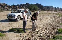 NAMIB DESERT TOURS, Full-Day and Half-Day Tours from Swakopmund, Namibia