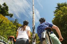 Victoria City Highlights Bike Tour for Cruise Guests