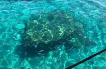 Adventure and nature! Exciting group tour by dinghy.