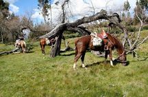 Horseback Riding Temple of the Moom in Cusco