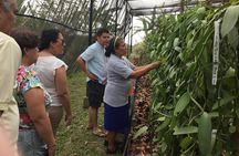 Tajin Ruins Day Trip and Vanilla Factory Experience