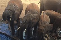 Tarangire and Ngorongoro 2 days Budget camping Safari