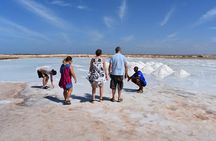 Private Sal Island Tour Authentic Experience from Santa Maria