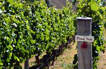 Queenstown Afternoon Wine Tour | Adults Only