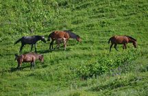 Relaxable and Knowledgeable 9 days Tour in Azerbaijan