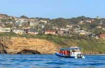 Hunter Coastal Adventure Tour by Boat from Newcastle