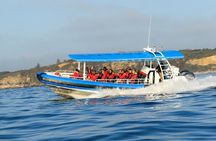 Hunter Coastal Adventure Tour by Boat from Newcastle
