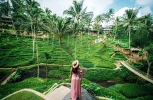 Cretya Ubud and Monkey Forest Sanctuary Tours