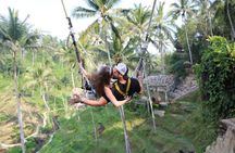 Cretya Ubud and Monkey Forest Sanctuary Tours
