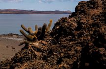 Day Trip to Bartolome Island from Puerto Ayora