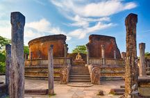 Day Tour from Dambulla to Sigiriya or Pidurangala & Polonnaruwa