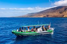 Afternoon Adventure Snorkel from Ka'anapali