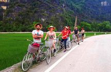 Amazing Luxury Hoa Lu Tam Coc 1 Day - Small Group Tour With Limousine bus