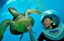 Bali Sea Walker Tanjung Benoa