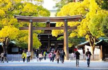 Private Tokyo Custom Full-Day Tour by Chartered Vehicle