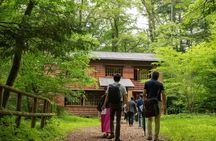 ~Exploring the nature and sightseeing spots of Karuizawa~ Forest bathing cycling