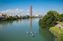 Seville: Paddle Surf Route and Class