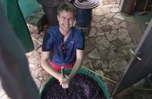 Wine tasting and magical tour from Kotor, Budva, Tivat (Lovcen,Skadar lake)