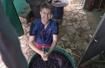 National parks and wine tasting (NP Lovcen, NP Skadar lake, Cetinje, Njegusi)