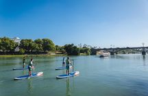Seville: Paddle Surf Route and Class