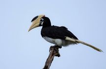 Kumana National park Full day safari 