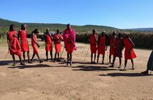 2-Day Maasai Mara Safari 