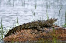 Kumana National park Full day safari 