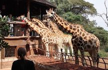  Giraffe center, Elephant Orphanage and Beads Center
