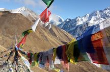 Langtang Valley Trekking 