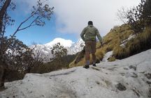 Mardi Himal Trekking