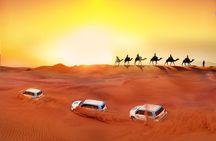 Evening Desert Safari with BBQ Dinner 
