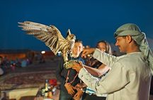 Evening Desert Safari with BBQ Dinner 